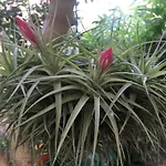 Carrer Dels Horts