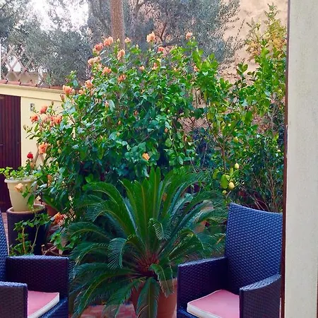 Daire Carrer Dels Horts