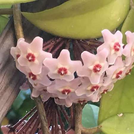 Apartmán Carrer Dels Horts *